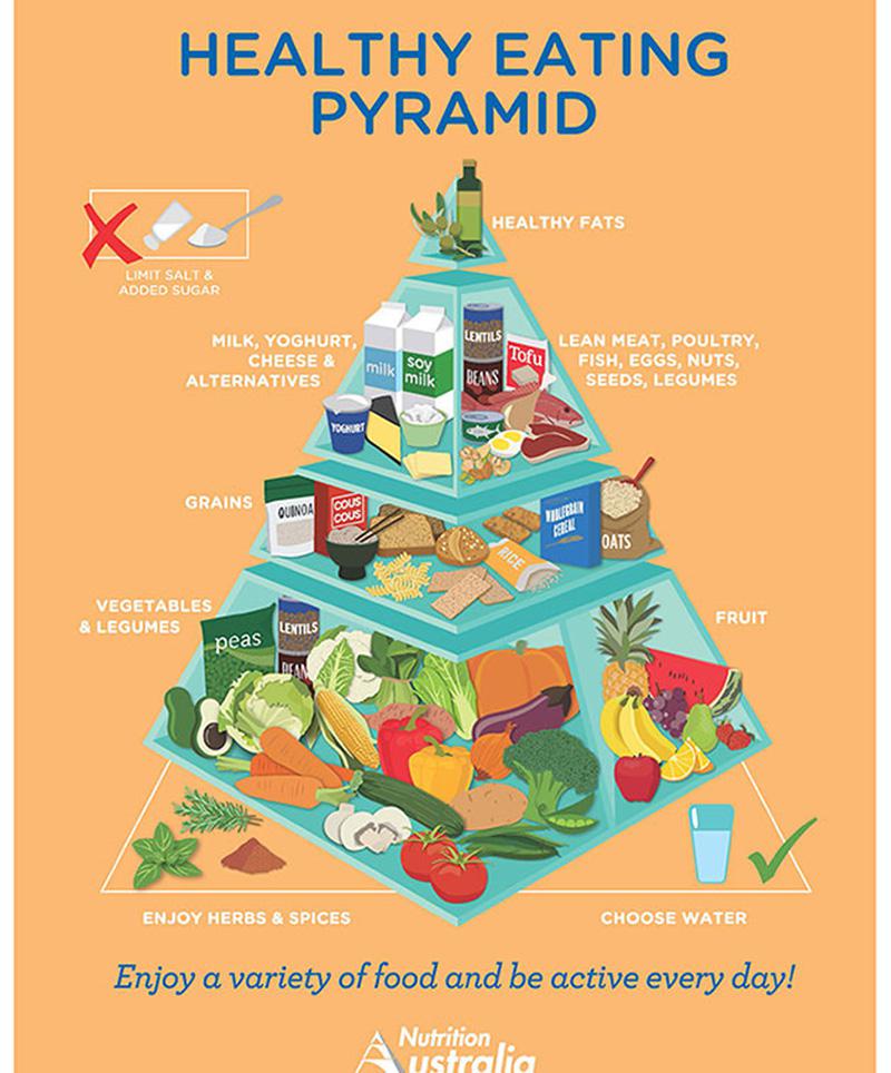 jessica cox | new food pyramid + jcn food pyramid