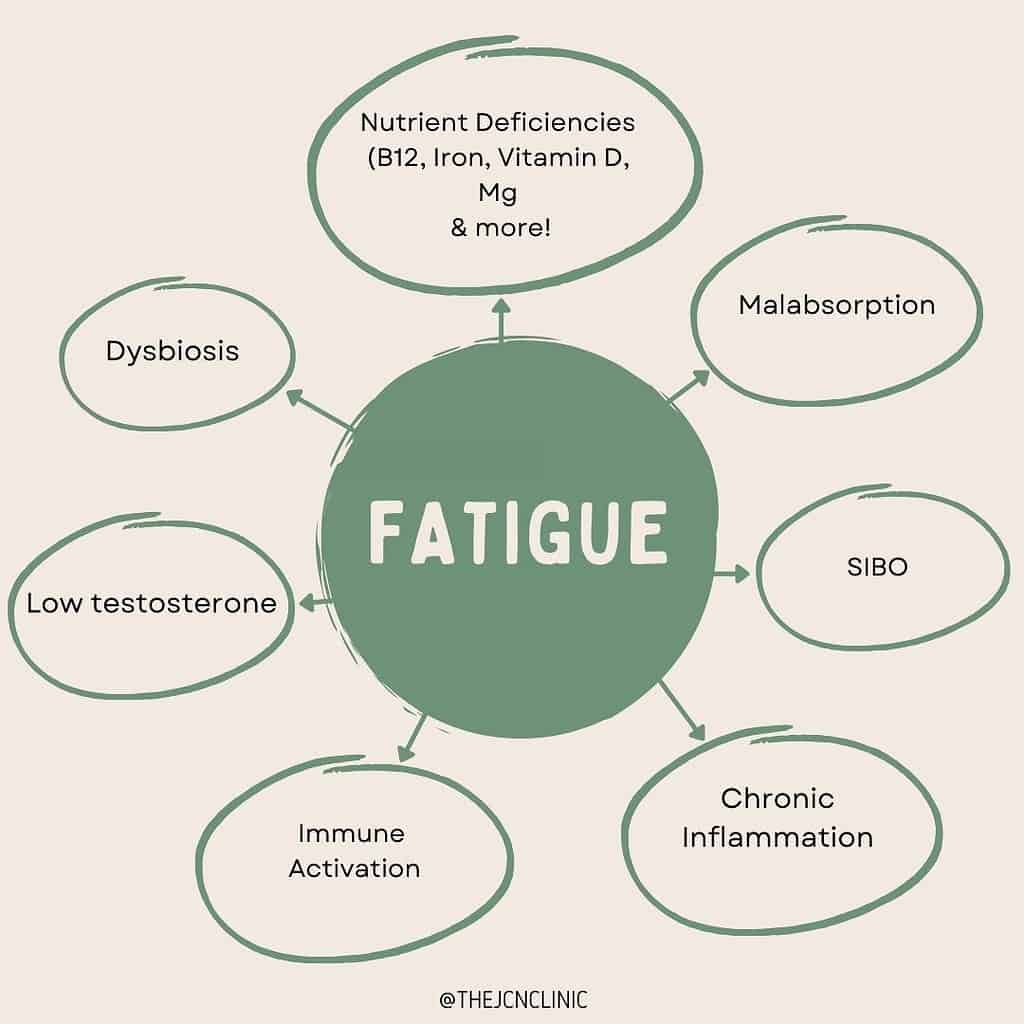 Underlying Causes of Fatigue 