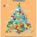 my thoughts on the new food pyramid + the jcn food pyramid