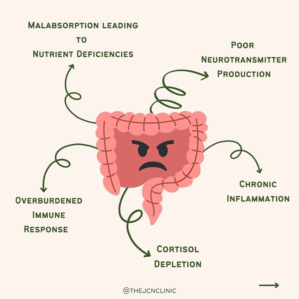 How Poor Gut Health Causes Fatigue 