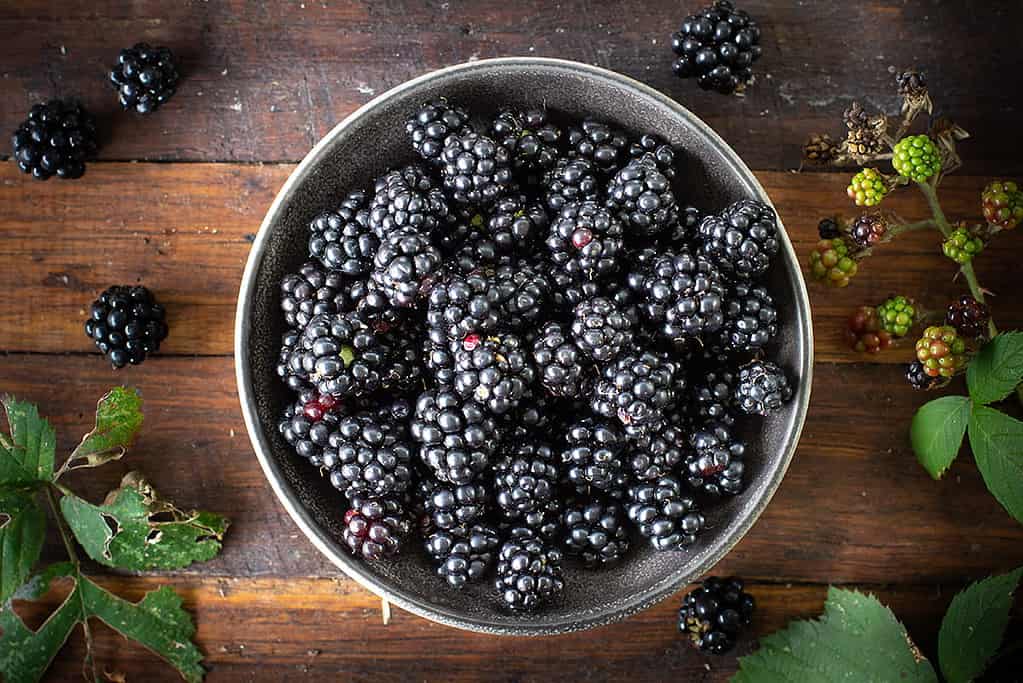 Sugar Free Blackberry Compote