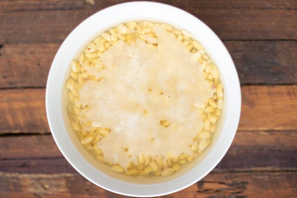 Soaking organic soy beans for making soy milk