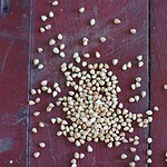 naturally seeds and whole grains