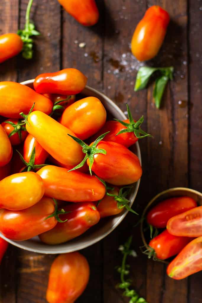 Slow Roasted Tomato Capsicum Basil Salad